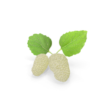 Mulberry Fruit White with Leaves PNG & PSD Images