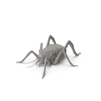 Weta PNG & PSD Images
