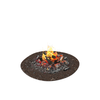 Bonfire Burning with Fire Ashes PNG & PSD Images