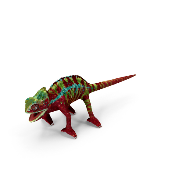 Chameleon Red PNG & PSD Images