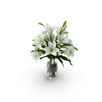 Lilies in Vase PNG & PSD Images