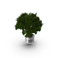 Light Bulb Tree PNG & PSD Images