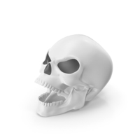 Monochrome Skull PNG & PSD Images