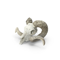 Animal Ram Skull With Nose Bone PNG & PSD Images