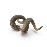 Animal Twisted Horns Dark PNG & PSD Images