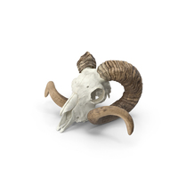 Sheep Ram Skull With Dark Nose Bone PNG & PSD Images