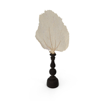 Andaman Coast Natural Sea Fan PNG & PSD Images