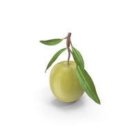 Raw Olive PNG & PSD Images