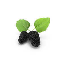 Mulberry Fruit Black with Leaves PNG & PSD Images