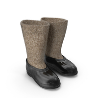 Traditional Felt Boots with Galoshes Black Fur PNG & PSD Images