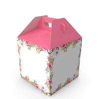 W Packaging Tall Cake Box Pink No Window PNG & PSD Images
