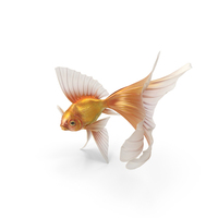 Fantasy Gold Fish PNG & PSD Images