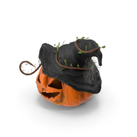 Pumpkin for Halloween with a Witches hat PNG & PSD Images