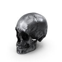 Male Skull Metal With Patina PNG & PSD Images