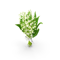 Lily of the Valley Bouquet PNG & PSD Images