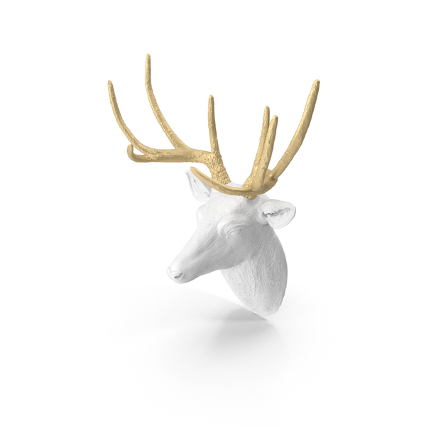 Faux Taxidermy - Deer PNG & PSD Images
