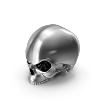Skull Silver PNG & PSD Images