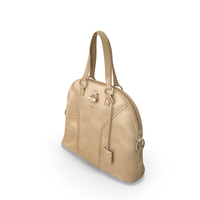 Yves Saint Laurent Muse Female Handbag PNG & PSD Images
