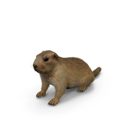 Sitting Ground Squirrel Fur PNG & PSD Images