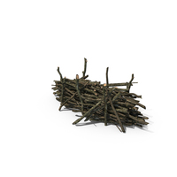 Twigs Debris PNG & PSD Images
