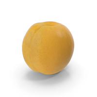 Yellow Apricot Fur PNG & PSD Images
