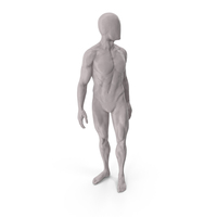 Male Base Body Gray Turn PNG & PSD Images