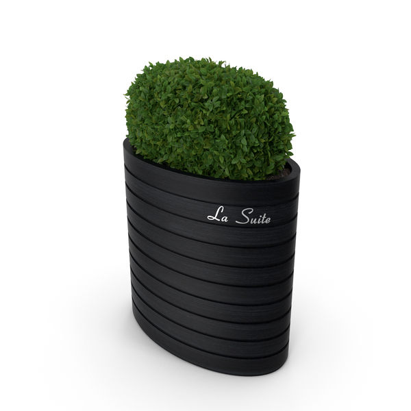 Bushes PNG & PSD Images