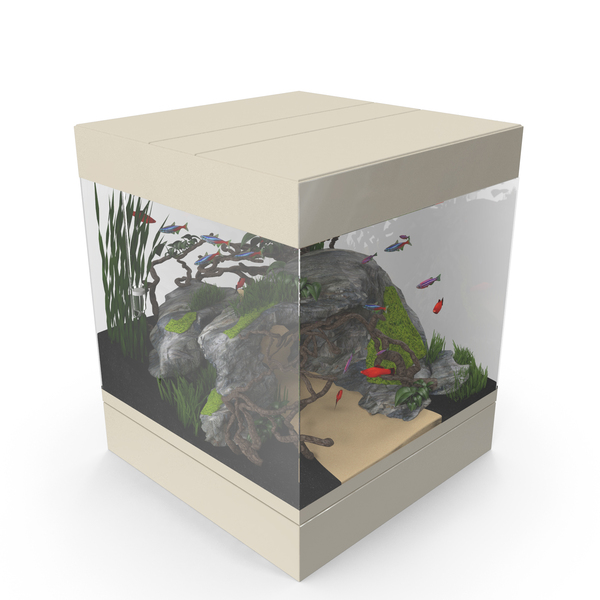 Natural Aquarium PNG & PSD Images