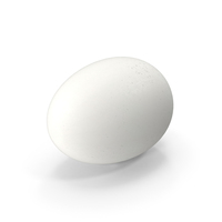 White Egg PNG & PSD Images