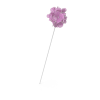 Hairpin PNG & PSD Images