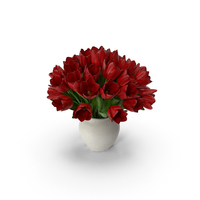 Tulip Bouquet Red PNG & PSD Images