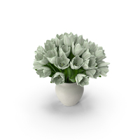 Tulip Bouquet White PNG & PSD Images