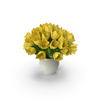 Tulip Bouquet Yellow PNG & PSD Images