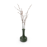Vase With Branches Of Berries PNG & PSD Images