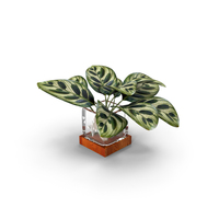 Vase With Leaves PNG & PSD Images