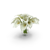 Calla Lily Flower Glass Vase PNG & PSD Images