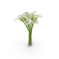 Calla Lily Glass Vase PNG & PSD Images