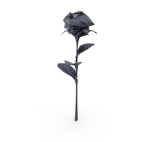 Black Rose PNG & PSD Images