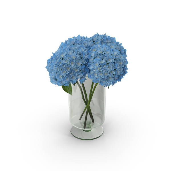 Hydragea Flower Glass Vase PNG & PSD Images