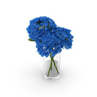 Hydrangea Flower PNG & PSD Images