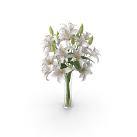 Lily White Flower Vase PNG & PSD Images
