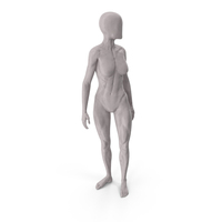 Female Base Body Gray Turn PNG & PSD Images