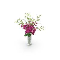 Orchid Flower - Dentrobium Glass Vase PNG & PSD Images