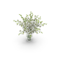 Orchid Flower White Dentrobium Glass Vase PNG & PSD Images