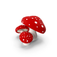 Mushrooms PNG & PSD Images