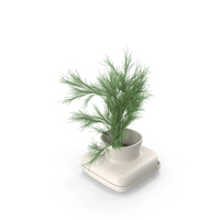 Dill PNG & PSD Images