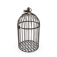 Old Cage PNG & PSD Images