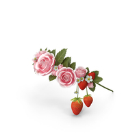 Floral Circlet PNG & PSD Images
