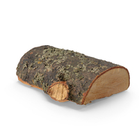Firewood Log PNG & PSD Images