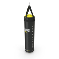 Everlast Boxing Bag PNG & PSD Images